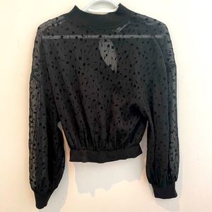Zara long sleeve see through blouse